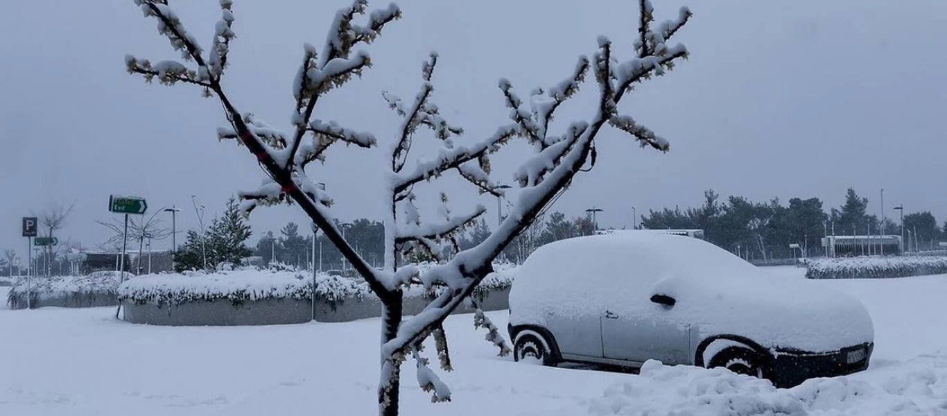 Κάτω από το πυκνό χιόνι «θάφτηκε» η Στενή Ευβοίας (φώτο)